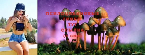 трава Надым