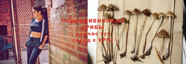 МДПВ Наволоки