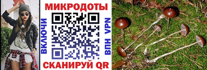 что такое наркотик  Ардон  Галлюциногенные грибы мицелий 